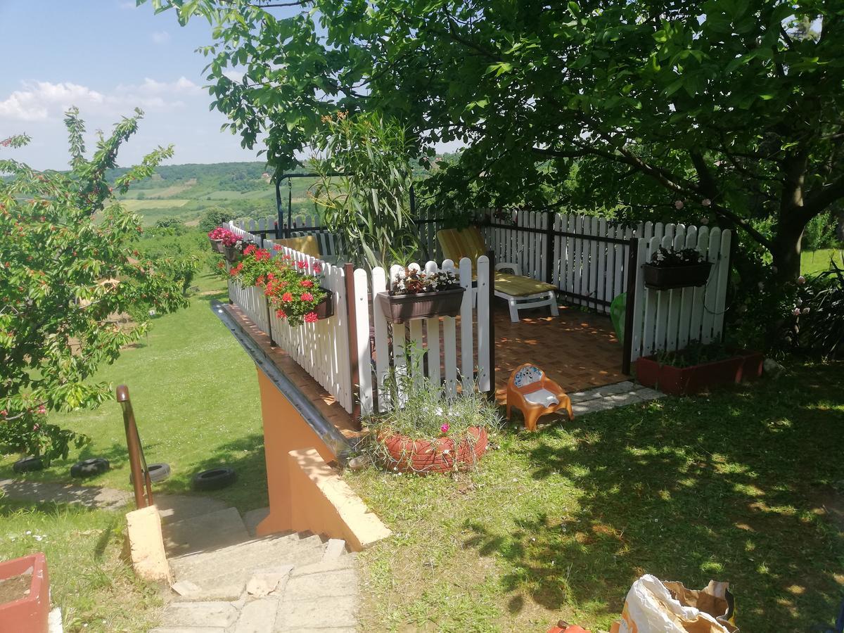 Guest House Jevtovic Сремськи Карловци Екстер'єр фото