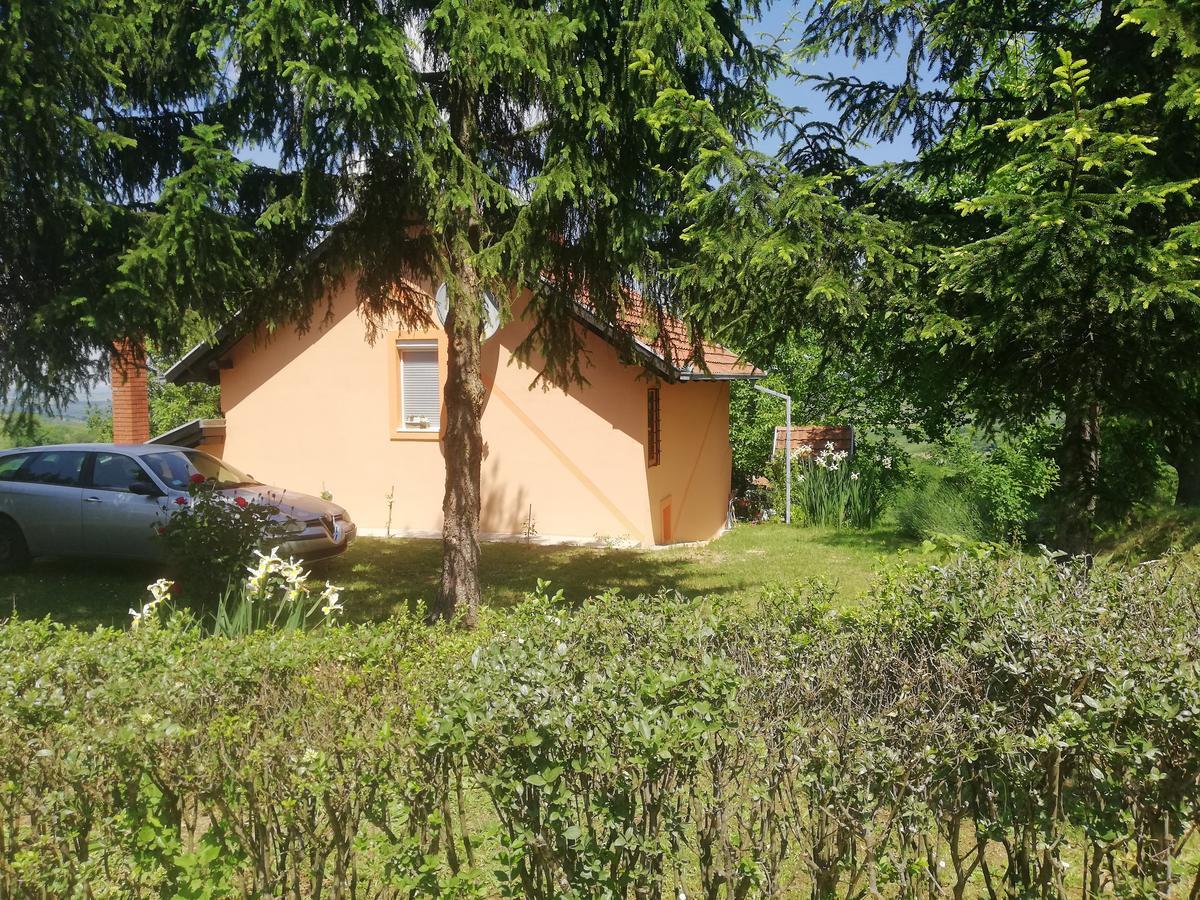 Guest House Jevtovic Сремськи Карловци Екстер'єр фото