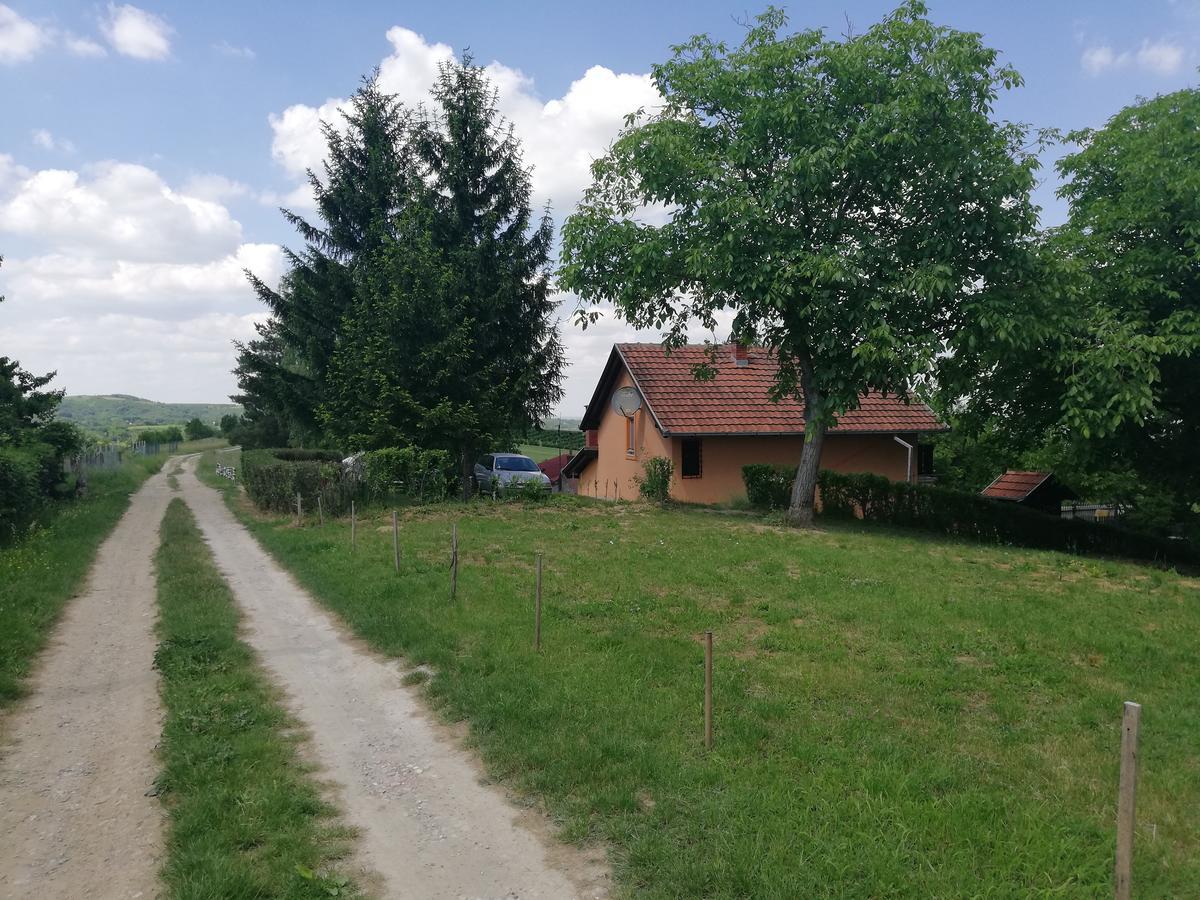 Guest House Jevtovic Сремськи Карловци Екстер'єр фото