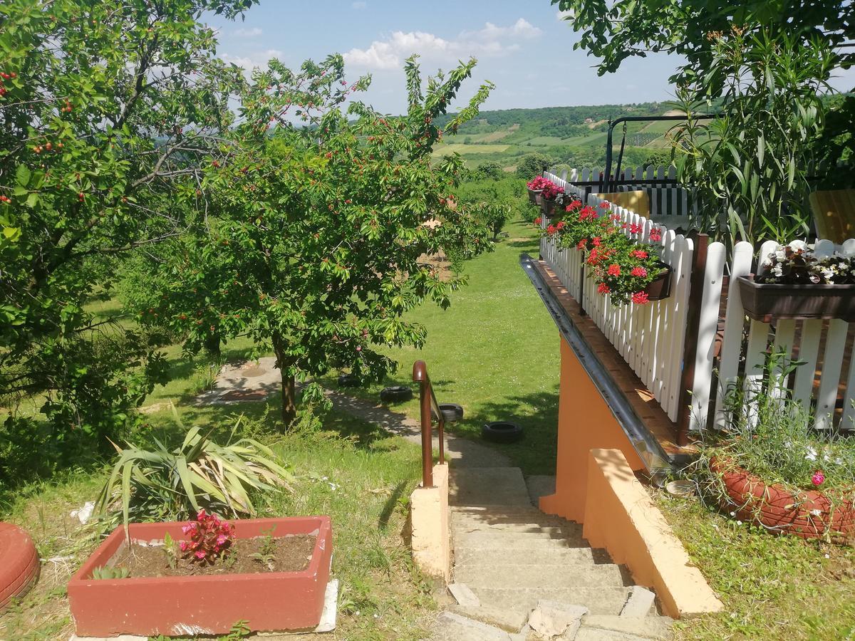 Guest House Jevtovic Сремськи Карловци Екстер'єр фото