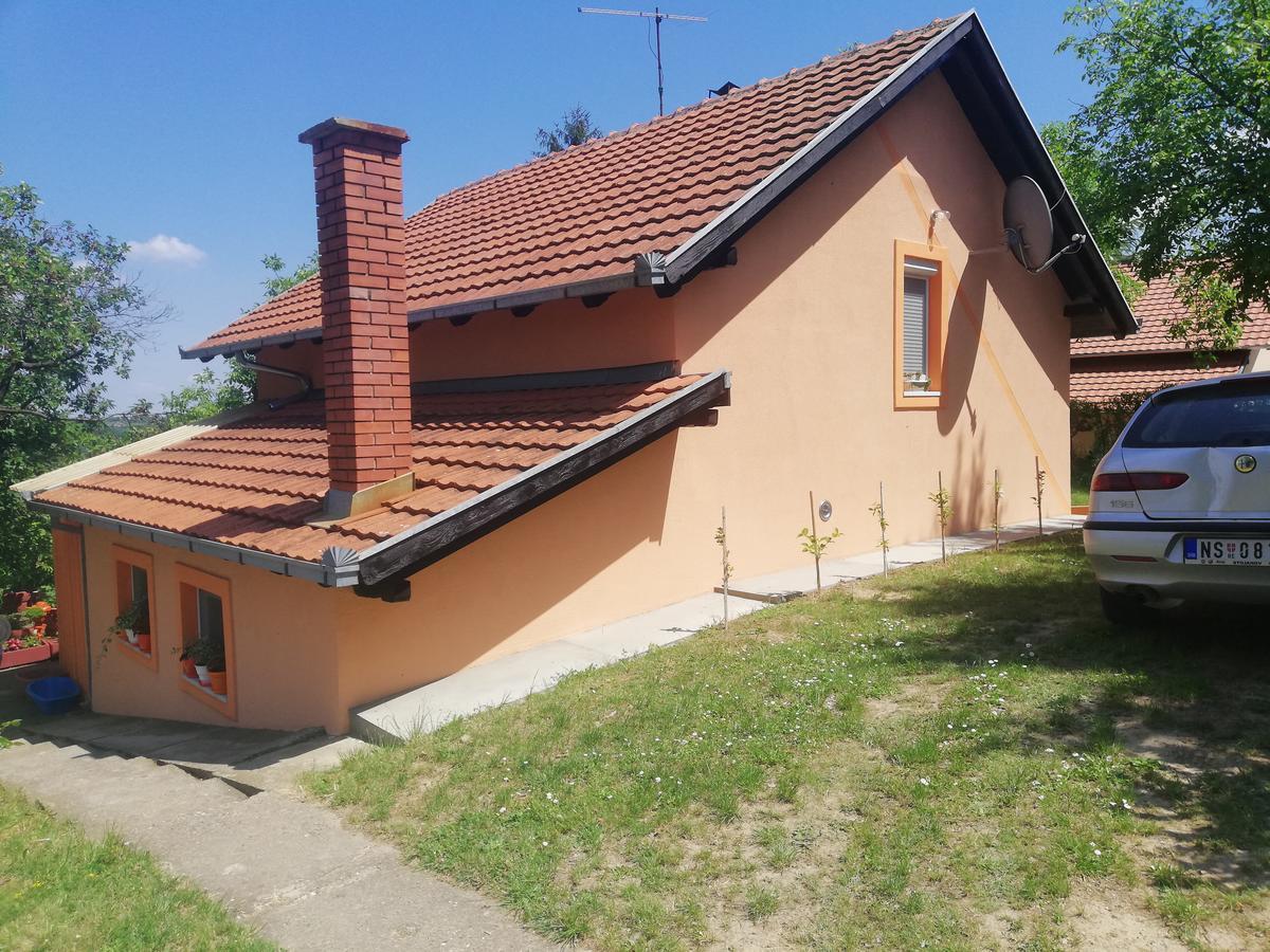 Guest House Jevtovic Сремськи Карловци Екстер'єр фото