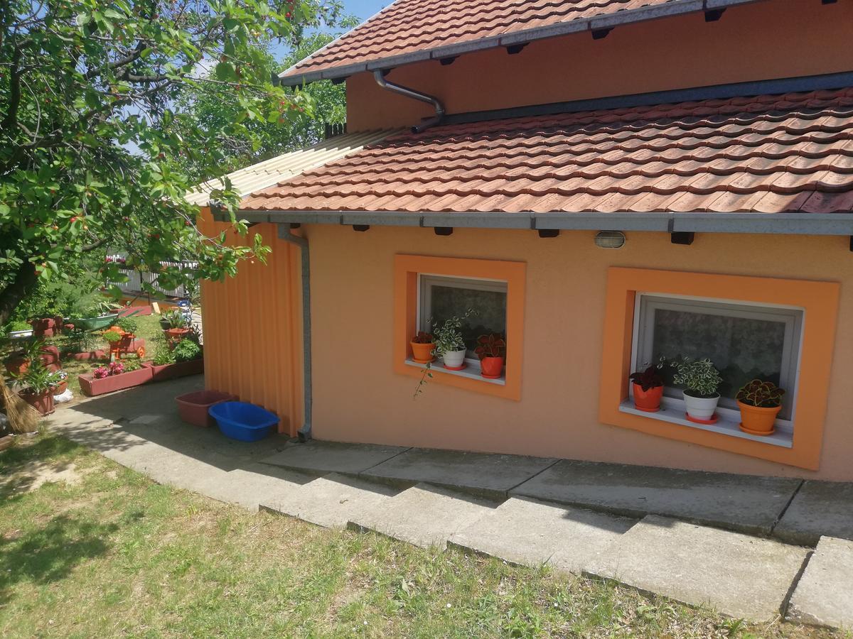 Guest House Jevtovic Сремськи Карловци Екстер'єр фото